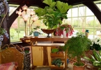 A Pretty Place for Potting